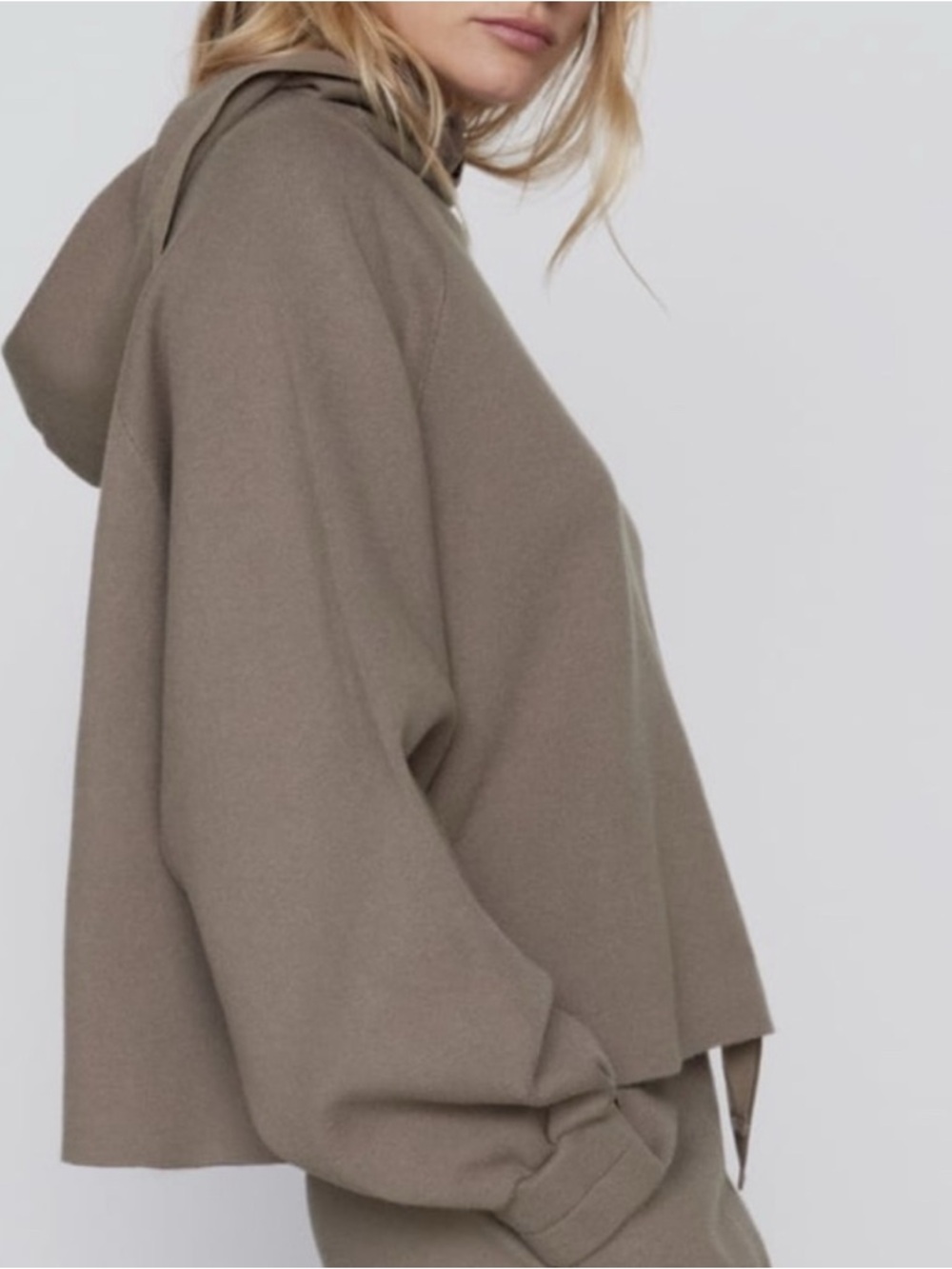 Zara Taupe Hooded Cropped Sweater and taupe jogger set